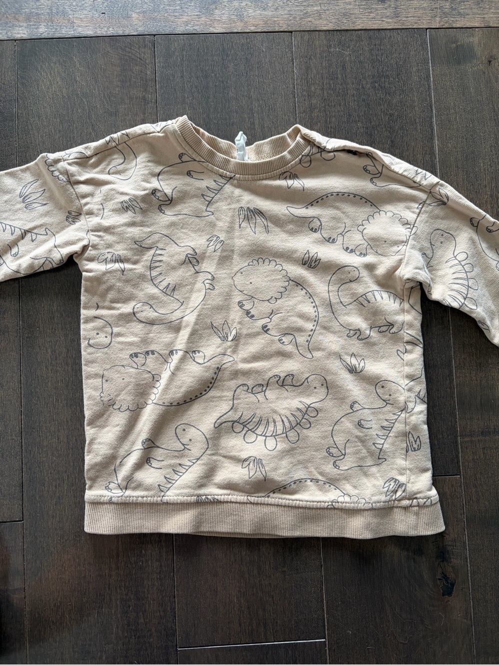 H&M Beige Dinosaur Doodle Sweatshirt